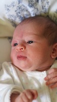julia robino baby portrait